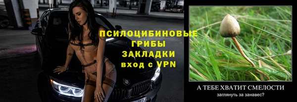 гидра Горняк