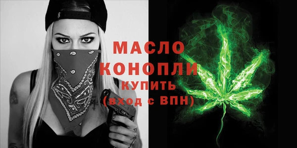 гидра Горняк