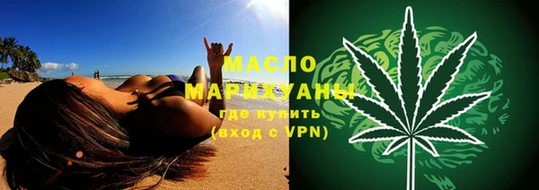 гидра Горняк