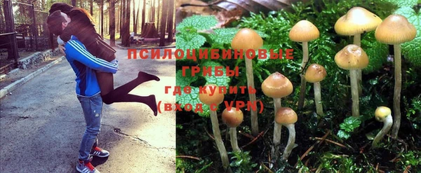 крисы Горнозаводск