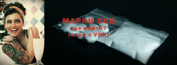 гидра Горняк