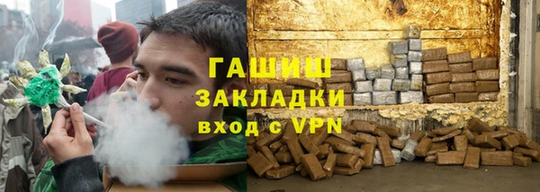 гидра Горняк