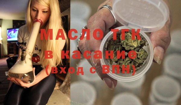 гидра Горняк
