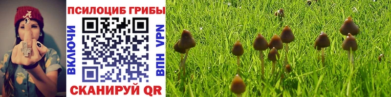 Псилоцибиновые грибы MAGIC MUSHROOMS Омск